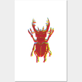 Stag Beetle Tricolore lino cut Posters and Art